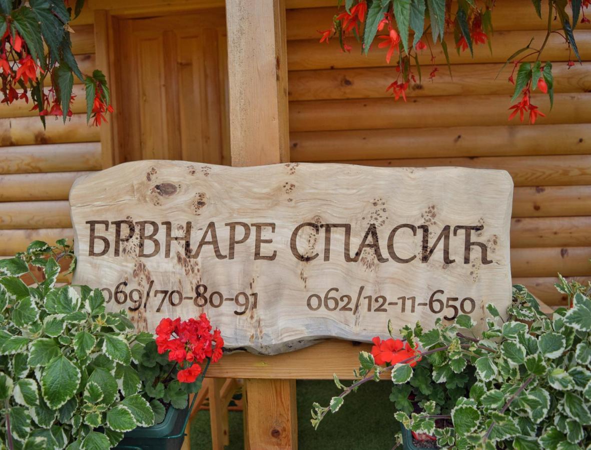Brvnare Spasic Vinci Buitenkant foto